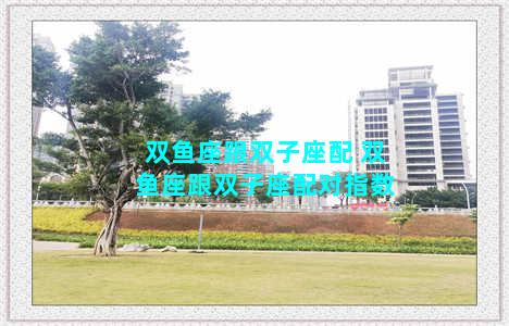 双鱼座跟双子座配 双鱼座跟双子座配对指数